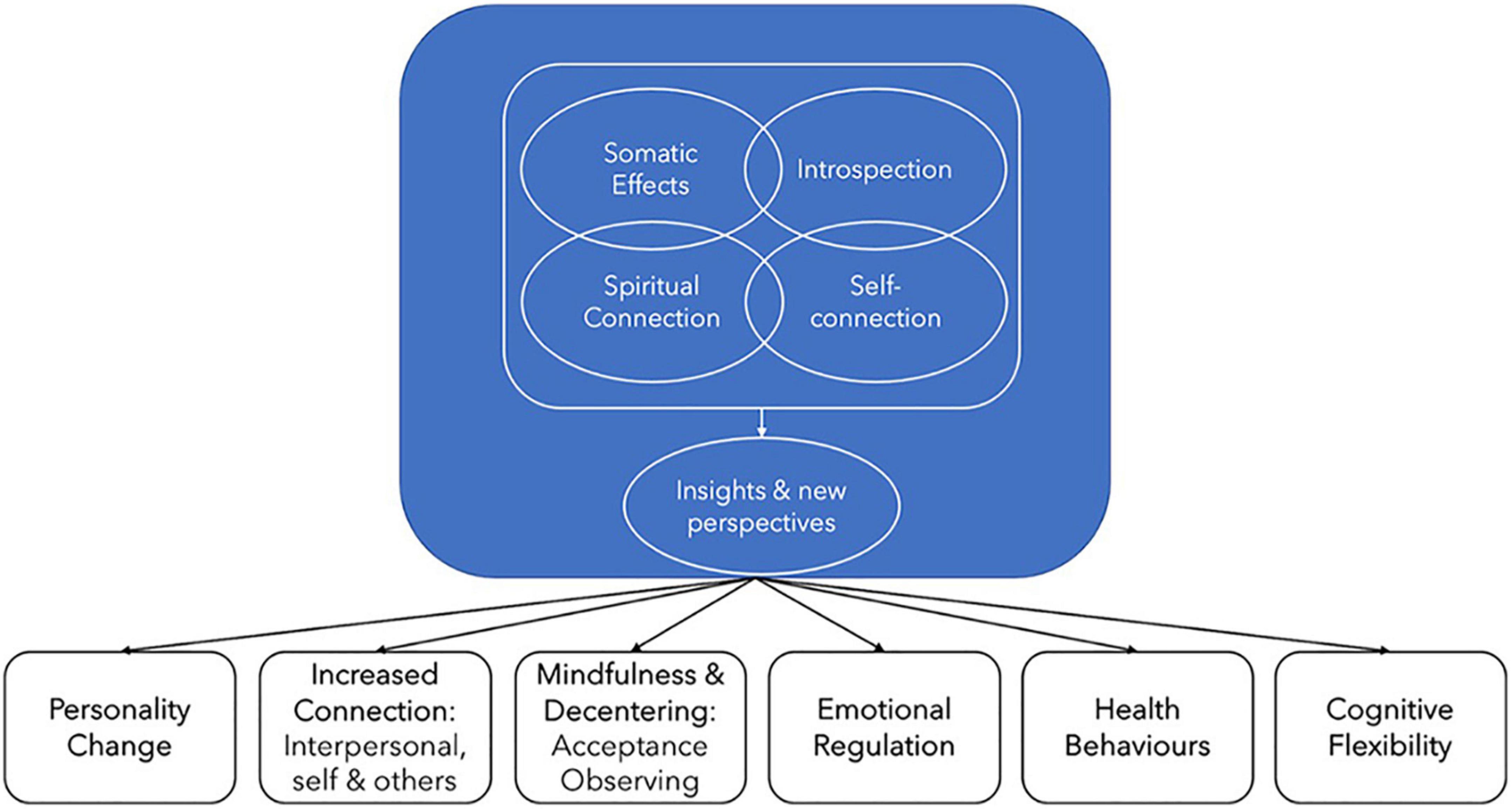 Psychotherapeutic and neurobiological processes associated with ayahuasca: A proposed model and implications for therapeutic use